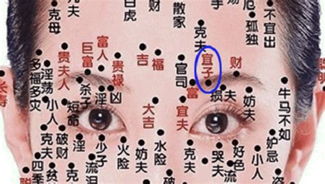 右邊眉毛有痣|右眉毛里有痣的女人好不好？